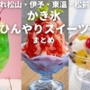 【2025夏最新版】愛媛県のかき氷・ひんやりスイーツまとめ！