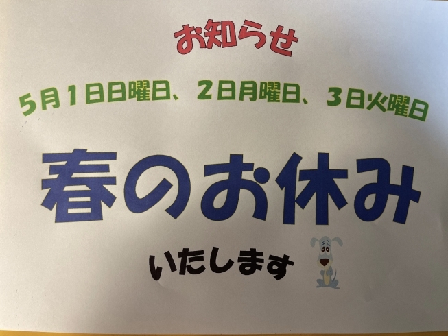 五月連休します‼️よろしくお願いします‼️‼️「福太郎くん大きなプードルです‼️」