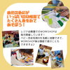 「色彩×知育　ベビー色彩知育®ってなぁに？【江戸川区レジナ幼稚園にてWORKSHOP開催】」