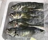 「魚魚市場鮮魚コーナーおすすめは「あアマダイ」です♪」