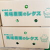 「岩手県北上市　クレアクロップス株式会社　馬場農園  の「朝採りレタス」 の出荷が昨日から始まりましたよー♪♪」