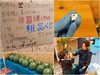 「「もうからんっ祭！」本日15:00よりオープンです！」