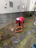 切った後はお掃除をして…「ベンリー福山東🌟お庭の管理・庭木の伐採もお任せ下さい😉👍」