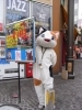 第12景 ねこカフェの猫ちゃんたち 川崎36景 まいぷれ 川崎市