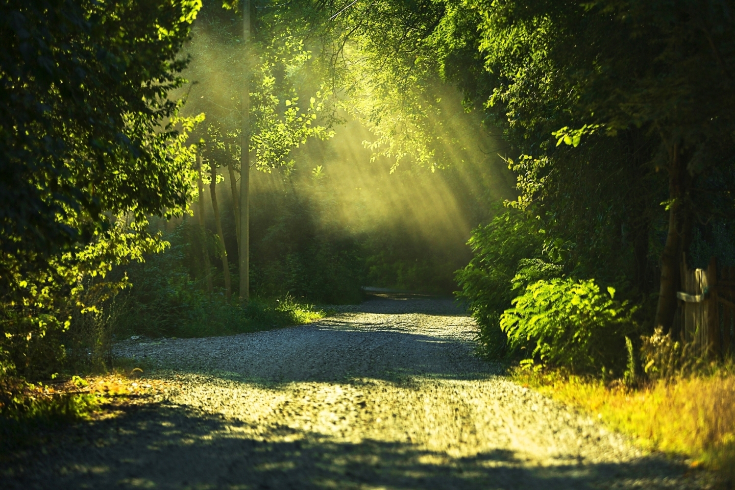 光と闇 心理カウンセラーの 今日から本当の自分になる しんじゅくノート 新宿区 光と闇 心理カウンセラーの 今日から本当の自分になる しんじゅくノート 新宿区