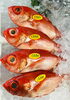 「魚魚市場鮮魚コーナーおすすめは「マングローブガニ・トビウオ」です♪」