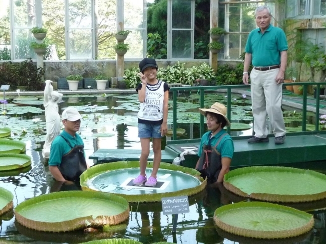 「安佐動物公園、植物公園、昆虫館  研究活動の成果を発表します！」