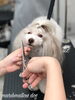 リズくんカット中〜「秋のオプションキャンペーン　^o^」