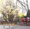 第12回 稲毛神社（1） ご神木を守る十二支 殿 | 川崎アワード