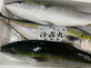 「本日入荷」