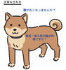 「人も犬も姿勢が大事✨」