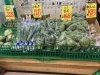 「1月21日　（火）　特売情報！」