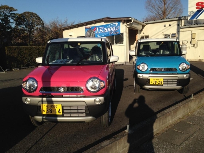 「ハスラー　試乗車追加のお知らせ」