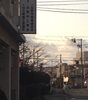 「2月5日  交野＠市役所横 会議所交野支所前  雪降ってましたね。」