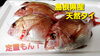【定置もん！】島根県産天然タイ「○本日のお刺身○【定置もん！朝どれ！】島根県産ハマチ、【定置もん！】島根県産天然タイ」