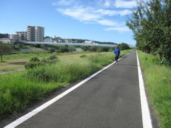 自転車道で朝のトレーニングをする人