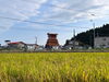 「【2023年】10月16日（月）いよ小松祭り～中常盤屋台さん他を、まいぷれ西条編集部Mが撮影！」