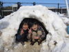 「行方市玉造地区は，すごい雪でした(*^^)v」