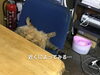 「椅子から足だけが見えていました！」