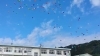 「バルーンリリース🎈　【静岡市　バルーンギフト　風船　記念日　お祝い】」