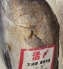 「当店で旬を味わいませんか🎐」