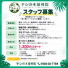 「🌴 ヤシの木接骨院 スタッフ募集のお知らせ 🌴」