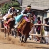 【加茂神社・初詣2026】 お供馬の初走りで迎える新しい一年（愛媛/今治市）
