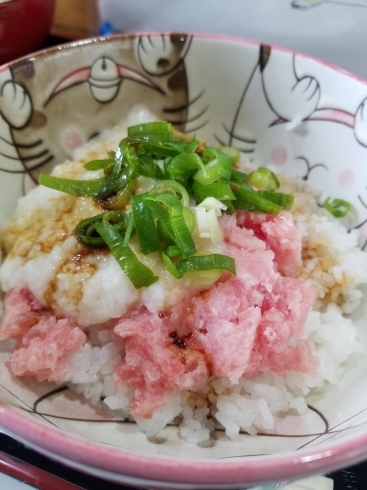 「ネギとマグロの、とろろ芋丼。 ４月13日(火曜日)の日替わりランチ」