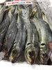 「魚魚市場鮮魚コーナーおすすめは「アジ」です♪」