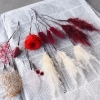 Dried flower head parts -ドライフラワーヘッドパーツ-
