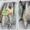 「魚魚市場鮮魚コーナーおすすめ商品は「本ガツオ・レンコ鯛」です♪」