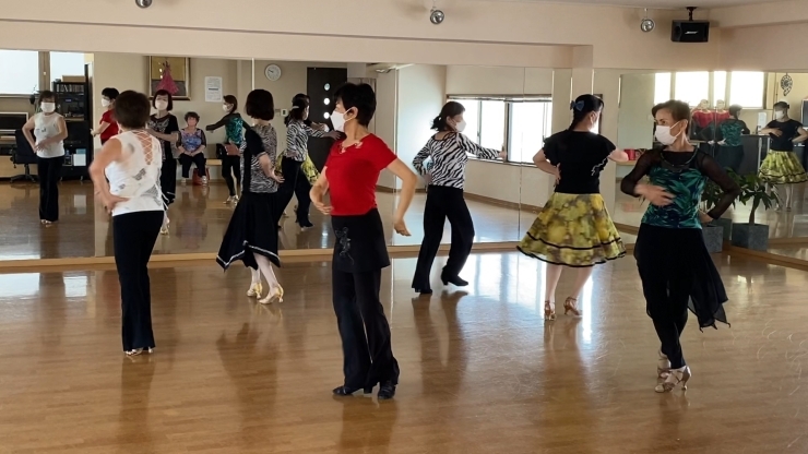 「社交ダンス『レディースチーム』メンバー募集中！ダンススタジオSATOのラテンダンスクラスでレディースだけで踊るフォーメーションダンス。楽しくラテンダンスを踊りましょう！」