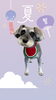 「Dog salon mofu mofu　余市町」