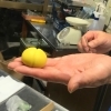 【つくし牧田】和菓子作りに挑戦！