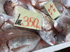 「魚魚市場鮮魚コーナーおすすめは「クロ」です♪」