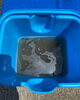 アルミフィンの洗浄汚水「エアコンを使用する前に、カビを除去❗️エアコンつけて匂いが気になるならお電話を‼️」