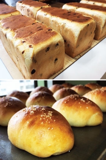 上／トルコ産サルタナレーズン使用「ぶどうパン」　下／塩パン「パン工房 アンジュール」