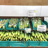 「地元産『野菜』『果物』続々入荷！道の駅木曽福島」