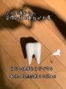 子どもの年齢や理解度に合わせて、毎回体験教室の内容は違います「フェアリ歯科 フェアリの教室」