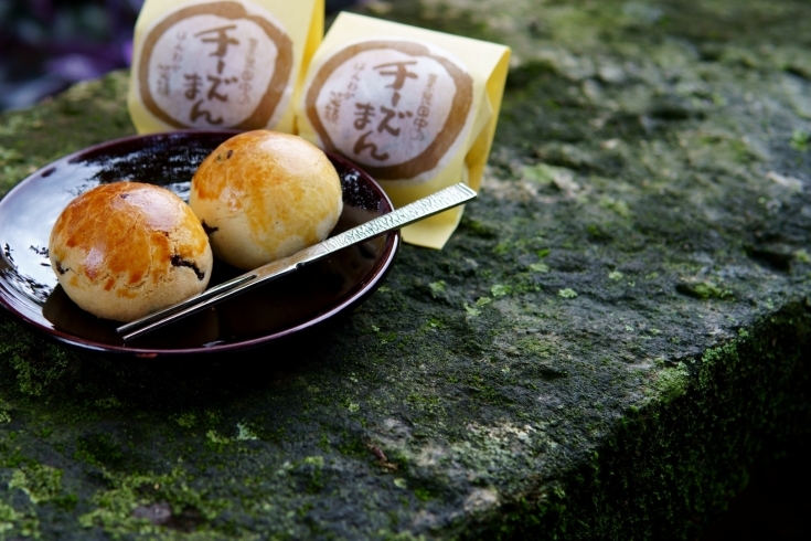 「菓匠 田中」大人気のチーズ饅頭や和菓子も多数ご用意しています