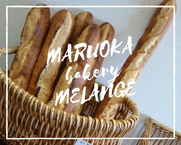 「MELANGE（メランジュ）」丸岡駅近　福井で本格的ハード系パンを食べるならメランジュへ♪