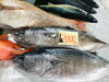 「魚魚市場鮮魚コーナーおすすめは「サバ・カツオ」です♪」