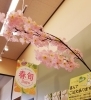 桜も咲きました！？笑「イチゴのイイ香り♥️春を感じますね～♥️」