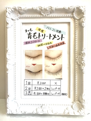 まつ毛を育てる マツ育 始めました からだラボmatsushimadoのニュース まいぷれ 佐世保