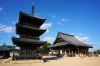 本堂と三重塔「西大寺観音院」