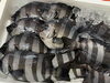 「本日鮮魚入荷致しました。[岩牡蠣は７月から販売致します。]」