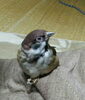 「Wクリスタルに空きがあります(^.^)」