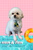 「Dog salon mofu mofu　余市町」