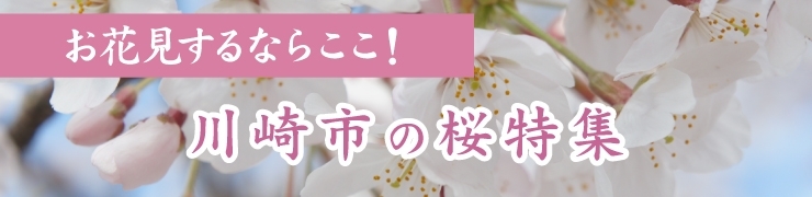 お花見するならここ！　川崎市の“桜”特集【2021年】