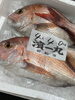「岩船港直売所本日営業致します」